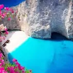Secret Nest *